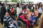 Ampliar imagen