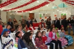 Ampliar imagen