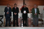 Ampliar imagen