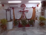 Ampliar imagen
