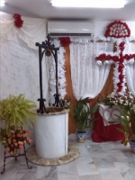 Ampliar imagen