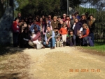 Ampliar imagen