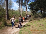 Ampliar imagen