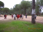 Ampliar imagen