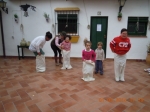 Ampliar imagen