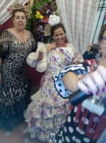 Ampliar imagen