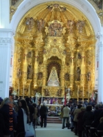 Ampliar imagen