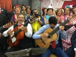 Ampliar imagen