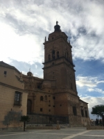 Ampliar imagen