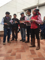 Ampliar imagen