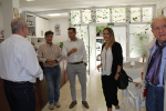 Ampliar imagen