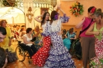 Ampliar imagen
