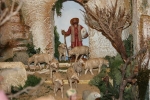 Ampliar imagen