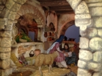 Ampliar imagen