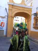 Ampliar imagen