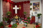 Ampliar imagen