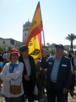 Ampliar imagen
