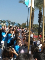 Ampliar imagen