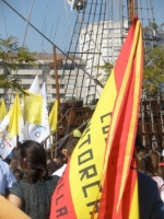 Ampliar imagen