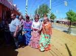 Ampliar imagen