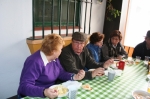 Ampliar imagen