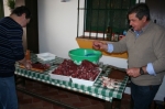 Ampliar imagen
