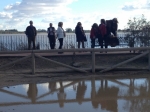 Ampliar imagen