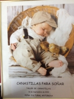 Ampliar imagen