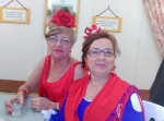 Ampliar imagen
