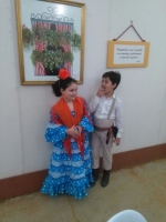 Ampliar imagen