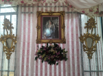 Ampliar imagen