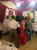 Ampliar imagen