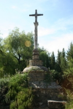 Ampliar imagen
