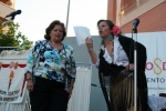Ampliar imagen