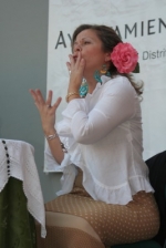 Ampliar imagen