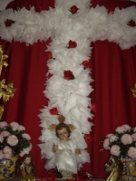 Ampliar imagen