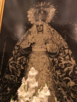 Ampliar imagen