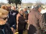 Ampliar imagen