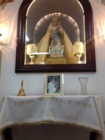 Ampliar imagen