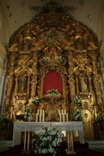 Ampliar imagen