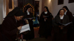 Ampliar imagen