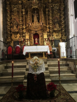 Ampliar imagen
