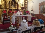 Ampliar imagen