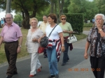 Ampliar imagen
