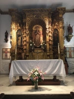 Ampliar imagen