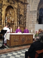 Ampliar imagen