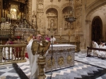 Ampliar imagen
