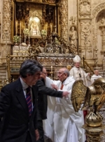 Ampliar imagen
