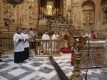 Ampliar imagen