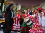 Ampliar imagen